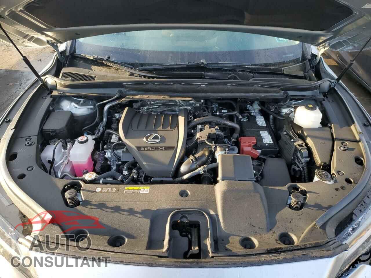 LEXUS RX350 2023 - 2T2BAMCA0PC021704