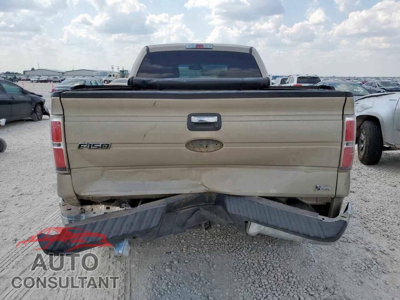 FORD F-150 2010 - 1FTFW1EV7AFD79922