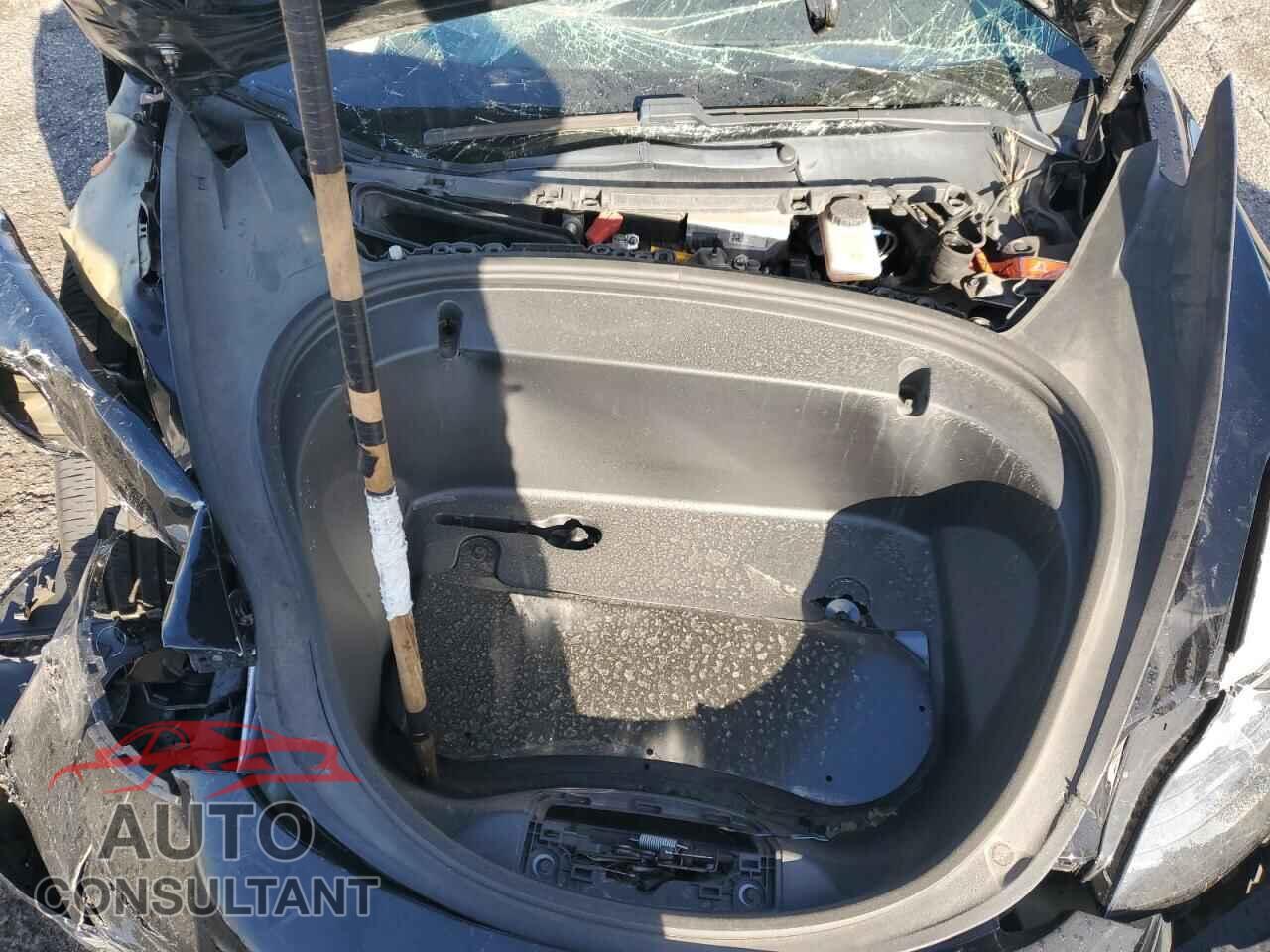 TESLA MODEL 3 2019 - 5YJ3E1EA1KF302097