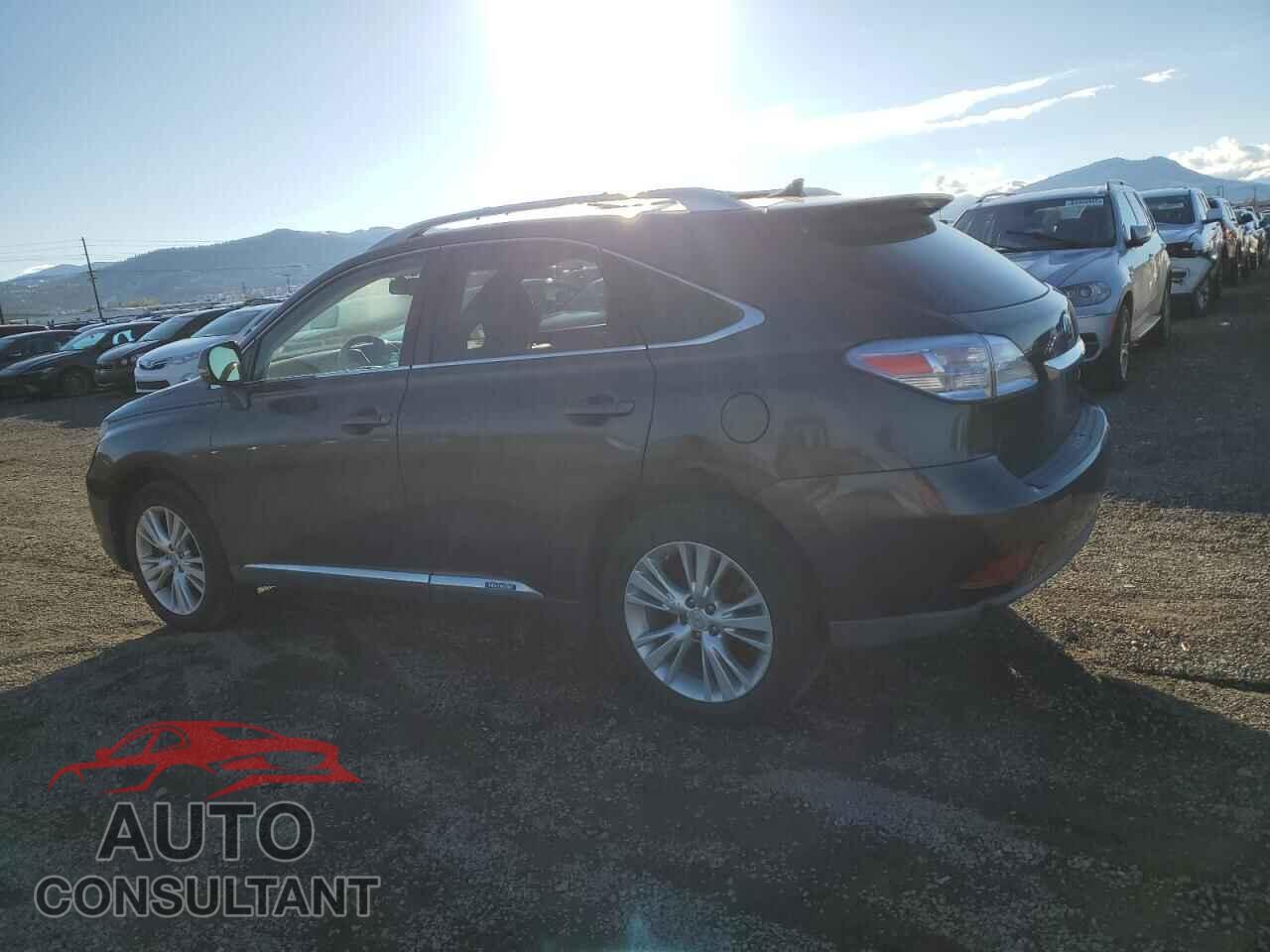 LEXUS RX450 2010 - JTJBC1BA8A2025551