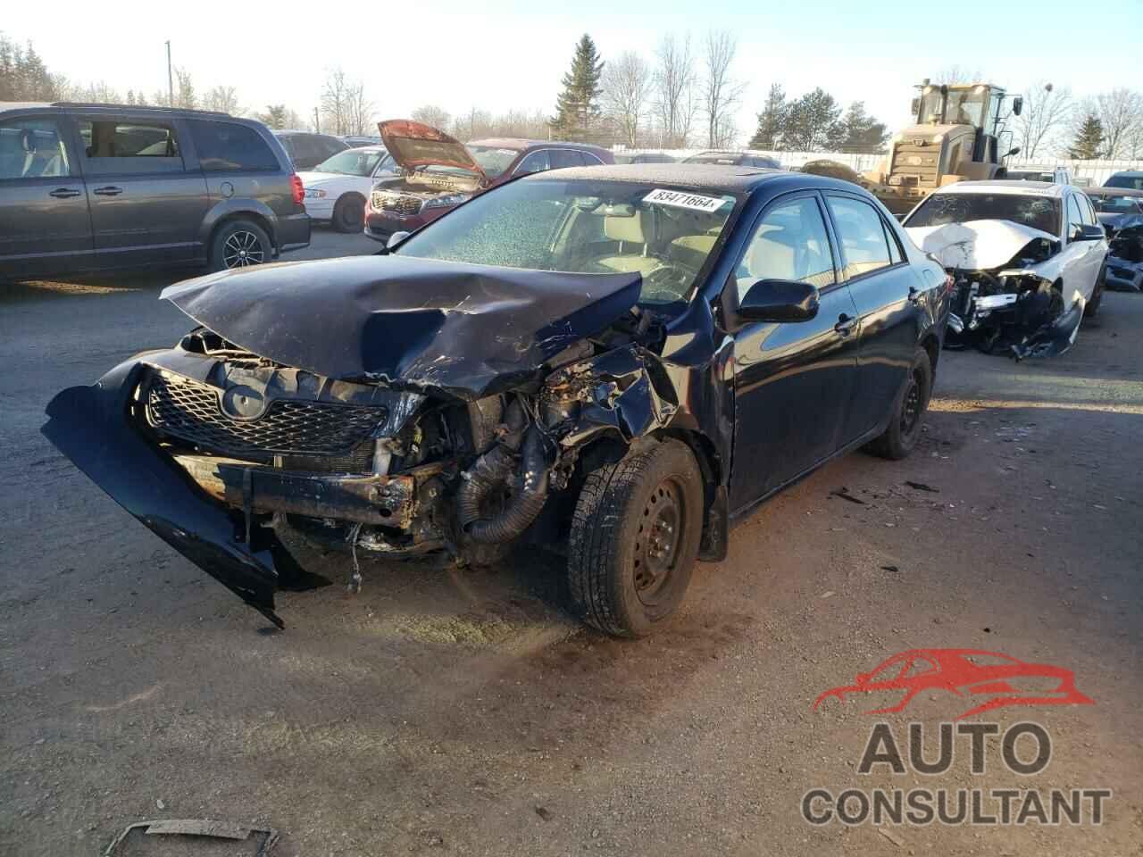 TOYOTA COROLLA 2009 - 2T1BU40EX9C100450