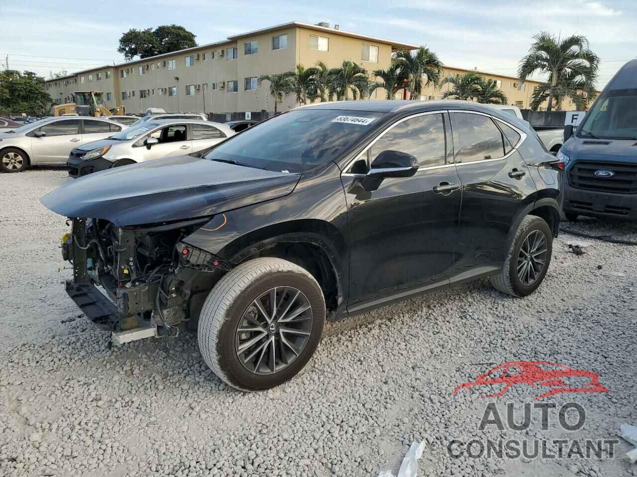 LEXUS NX 250 BAS 2024 - 2T2ADCAZ2RC008980