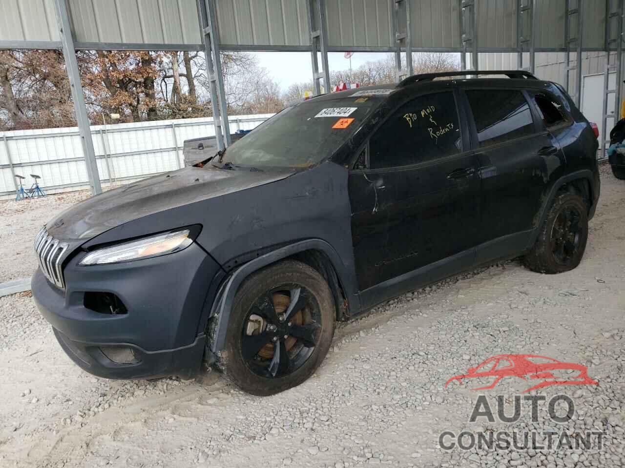JEEP GRAND CHER 2016 - 1C4PJLCB6GW113999