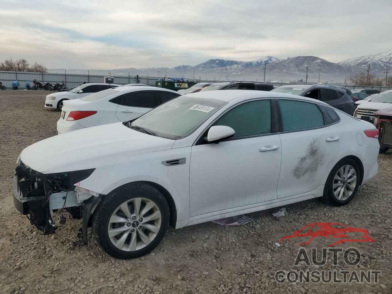 KIA OPTIMA 2016 - 5XXGT4L31GG083322