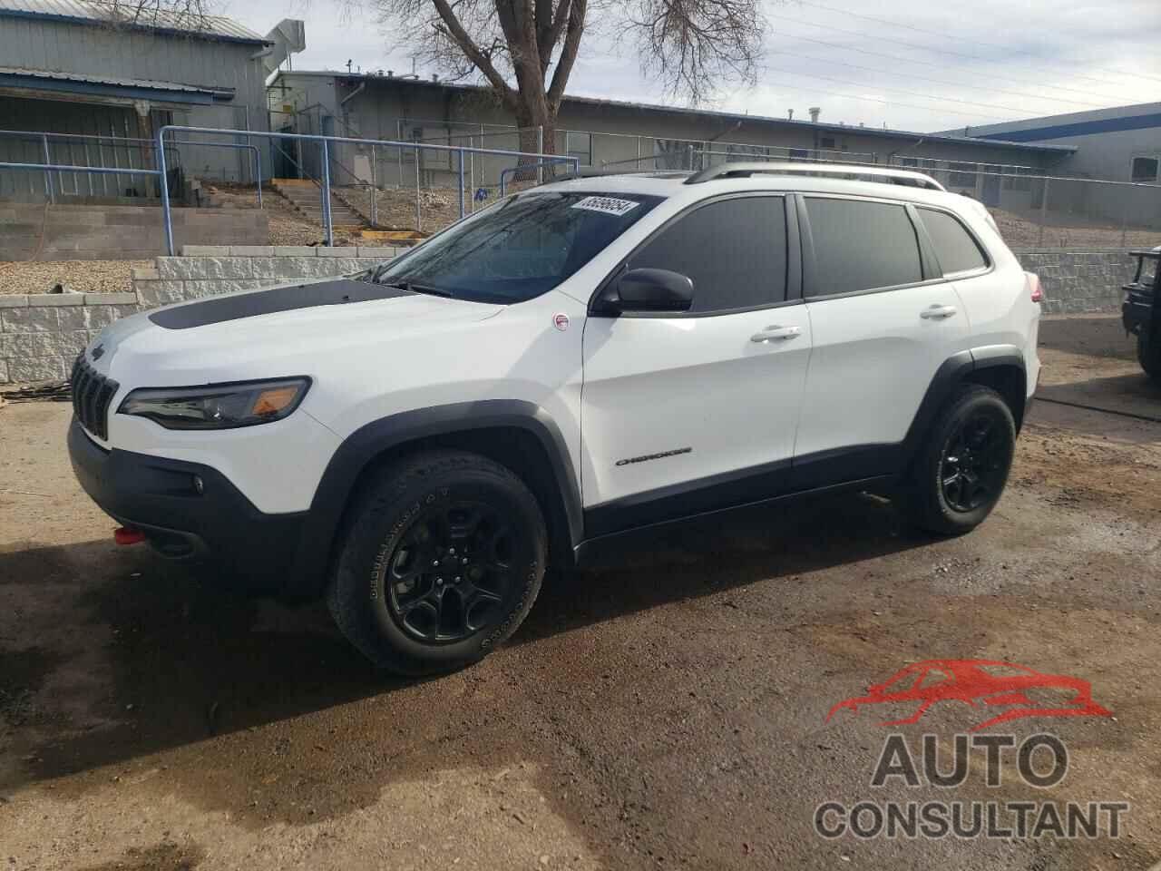 JEEP CHEROKEE 2019 - 1C4PJMBX5KD257079