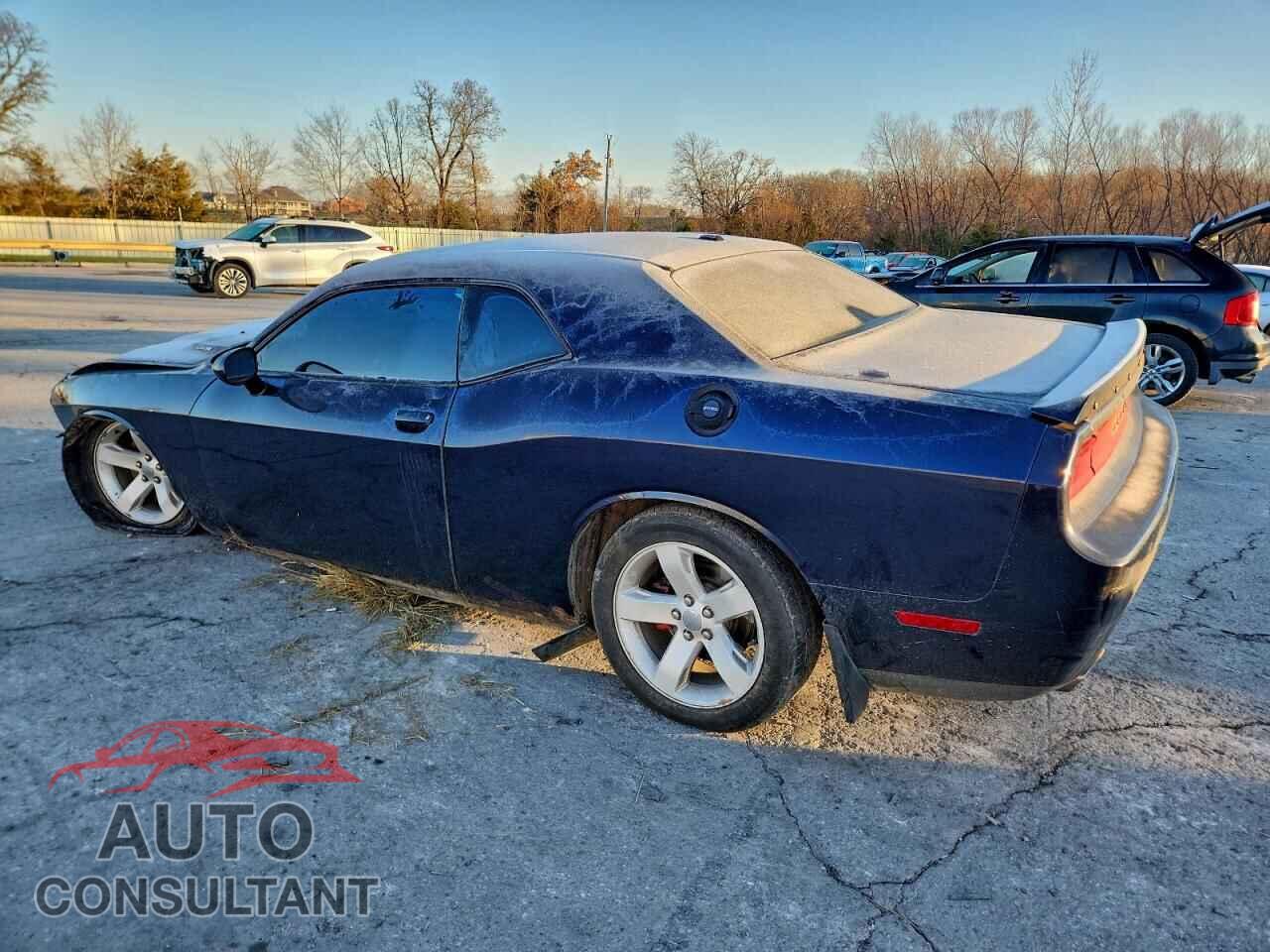 DODGE CHALLENGER 2012 - 2C3CDYBT8CH233880