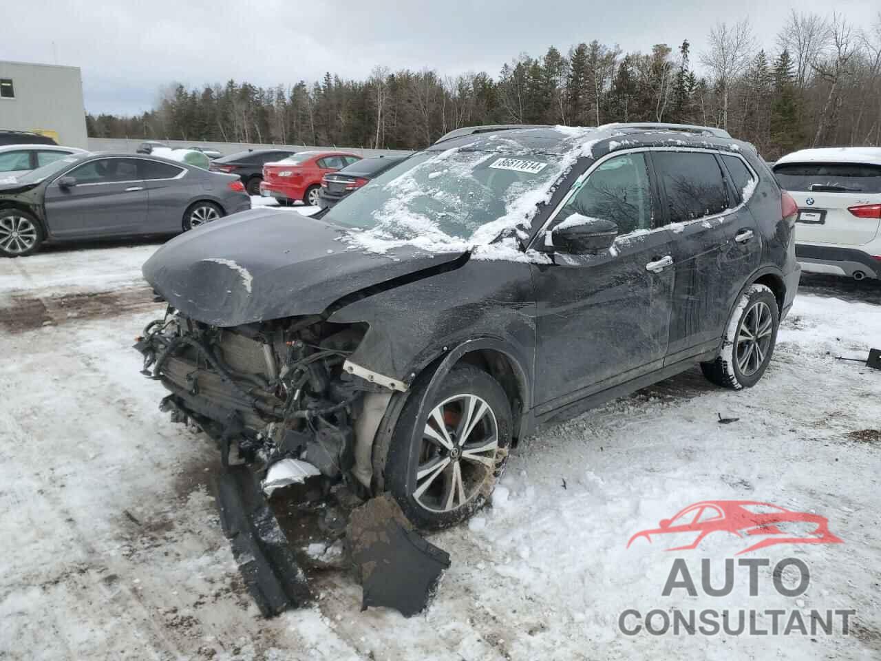 NISSAN ROGUE 2019 - 5N1AT2MV9KC761524