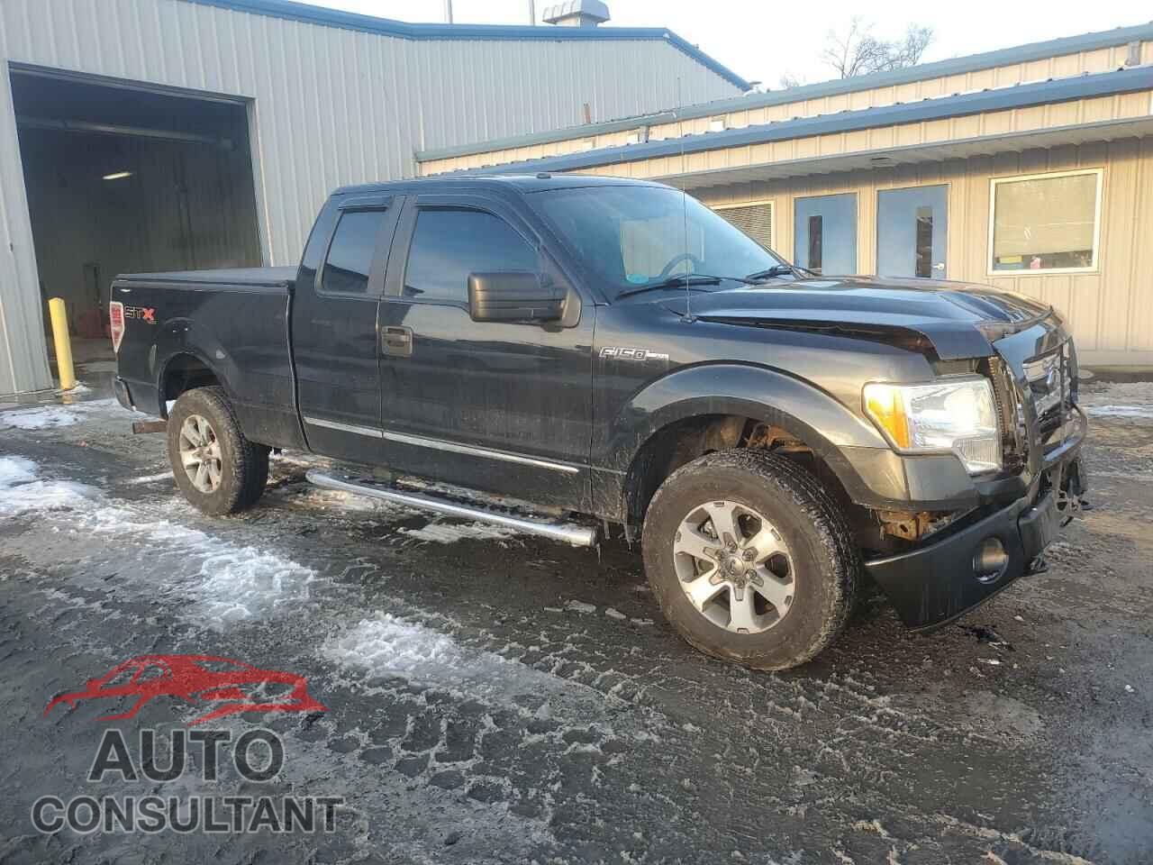 FORD F-150 2013 - 1FTFX1EF2DFC61013