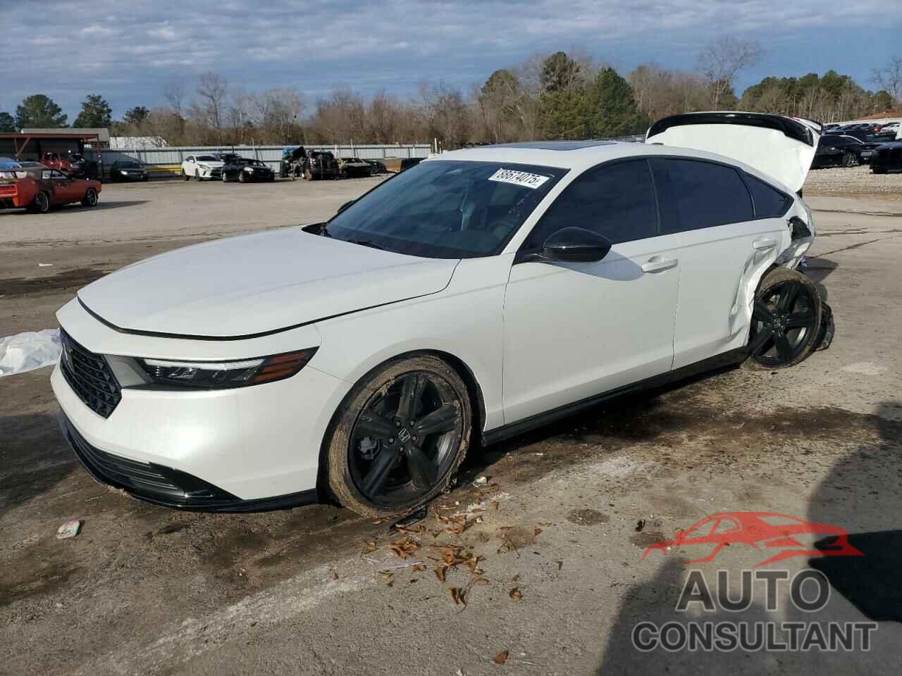 HONDA ACCORD 2024 - 1HGCY2F72RA069299
