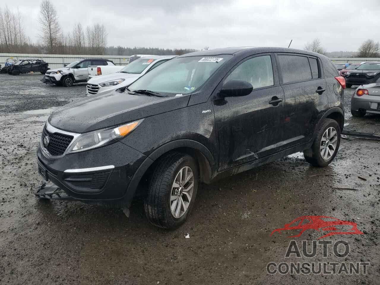 KIA SPORTAGE 2016 - KNDPBCAC7G7877900
