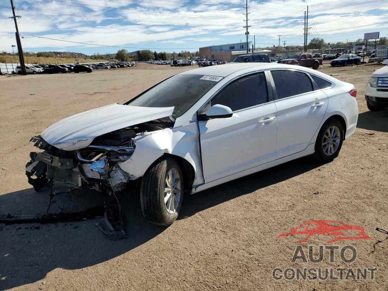 HYUNDAI SONATA 2019 - 5NPE24AF0KH803049