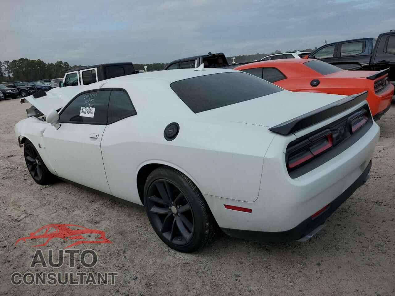DODGE CHALLENGER 2019 - 2C3CDZFJ5KH719141