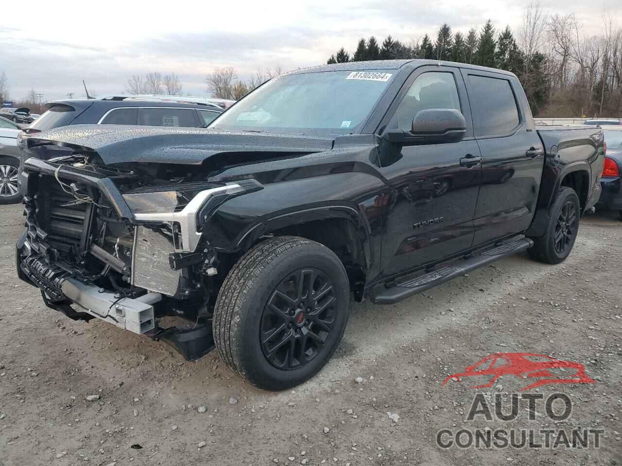 TOYOTA TUNDRA 2024 - 5TFLA5DB6RX235882