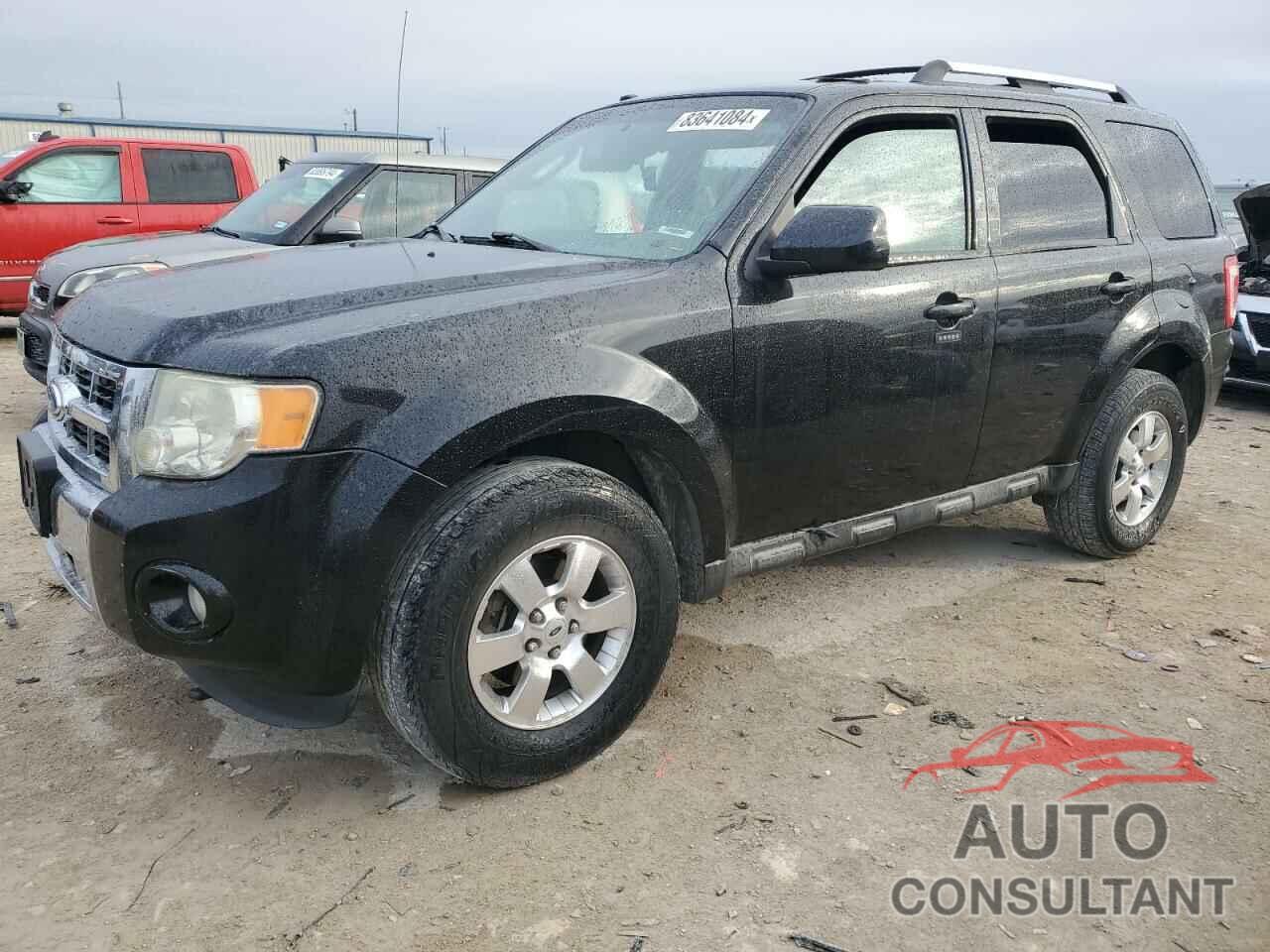 FORD ESCAPE 2011 - 1FMCU0EG9BKC19372