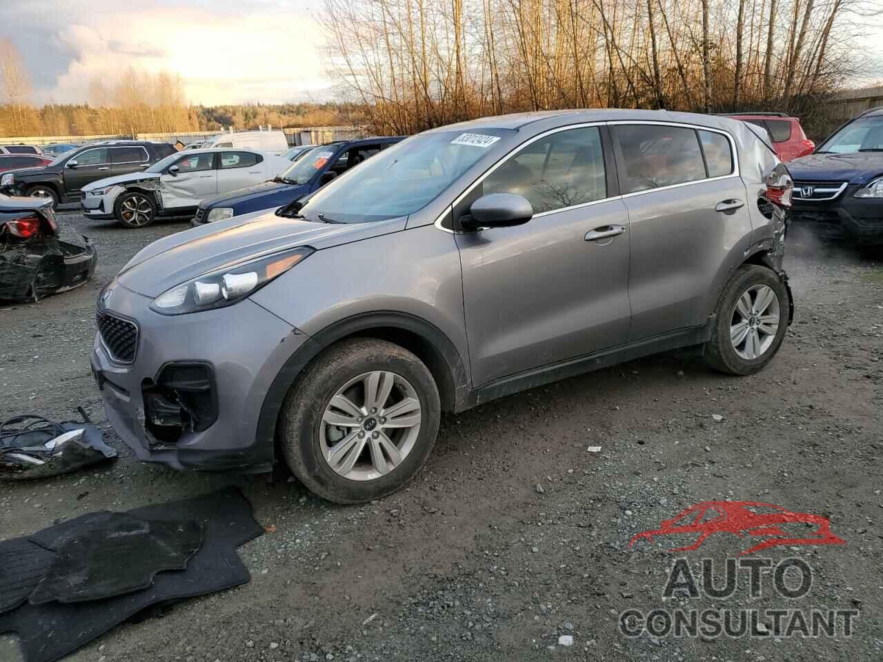 KIA SPORTAGE 2017 - KNDPM3AC3H7281680