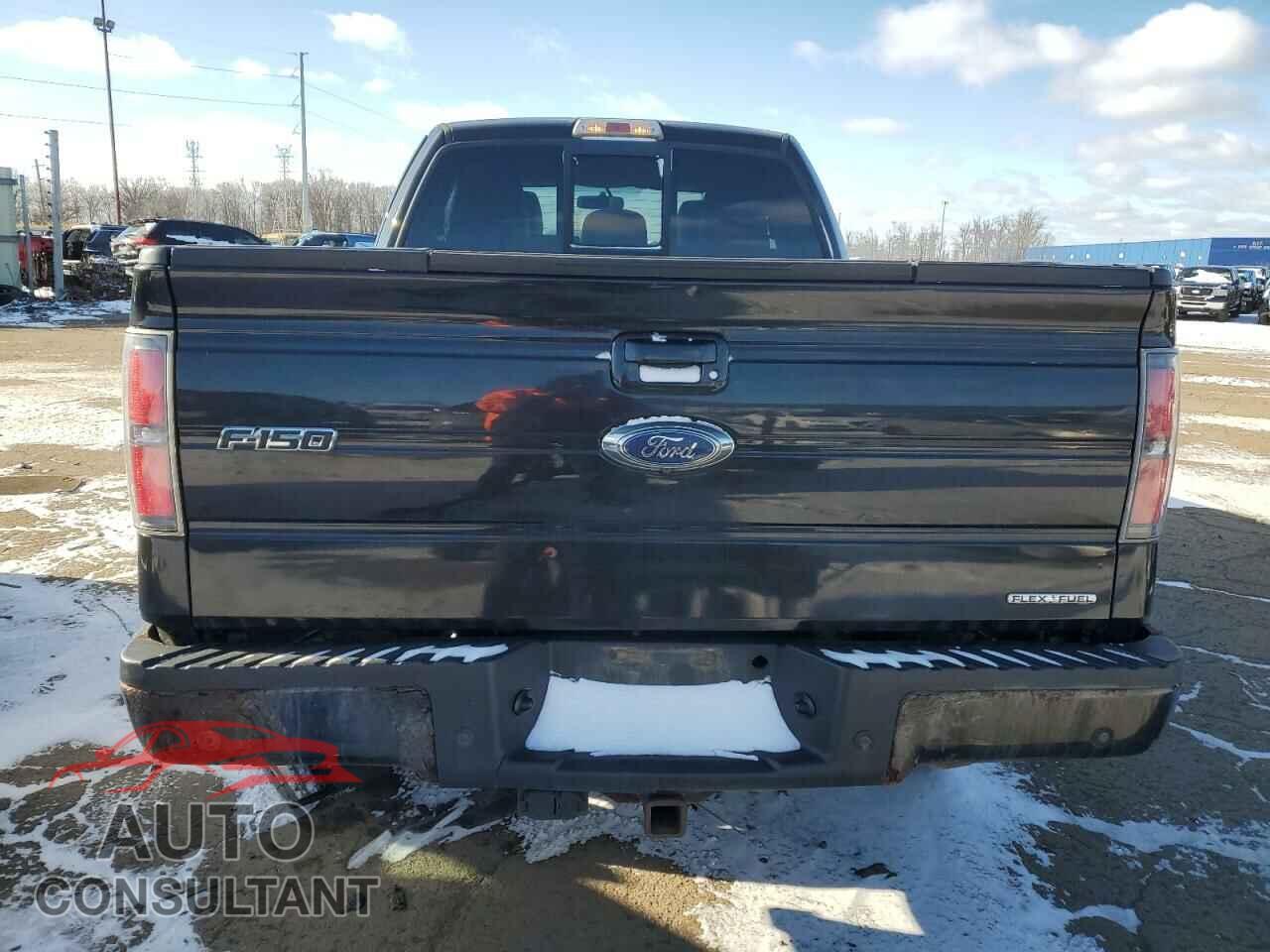 FORD F-150 2011 - 1FTFX1EF8BFB01442