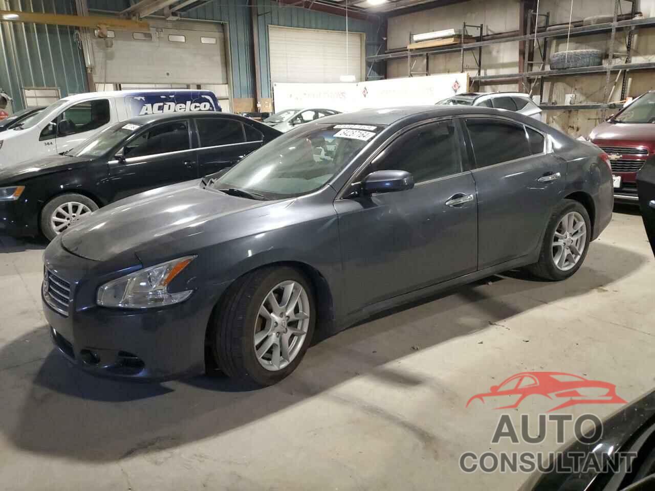NISSAN MAXIMA 2009 - 1N4AA51E09C822131