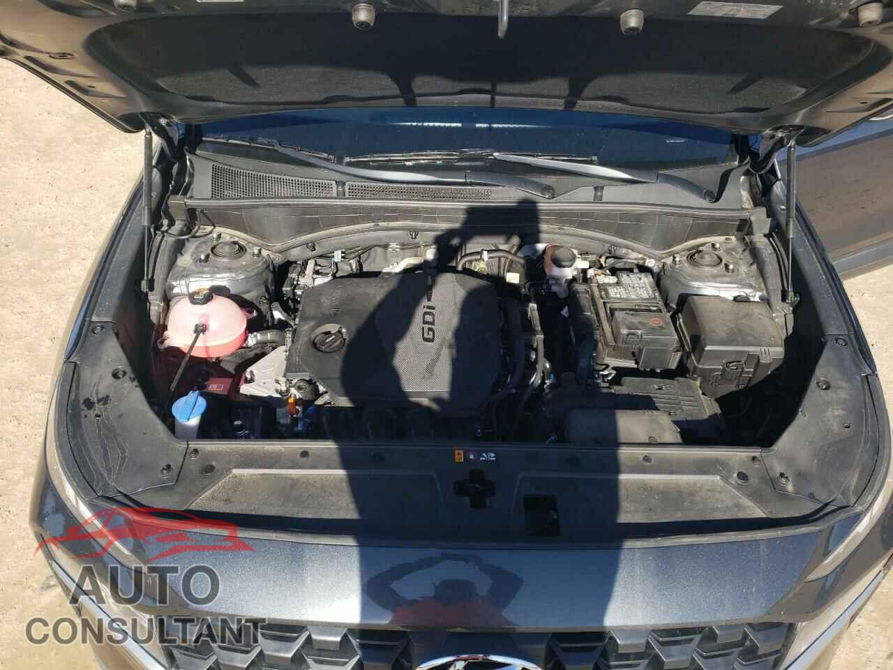 HYUNDAI SANTA FE 2023 - 5NMS14AJ3PH614040