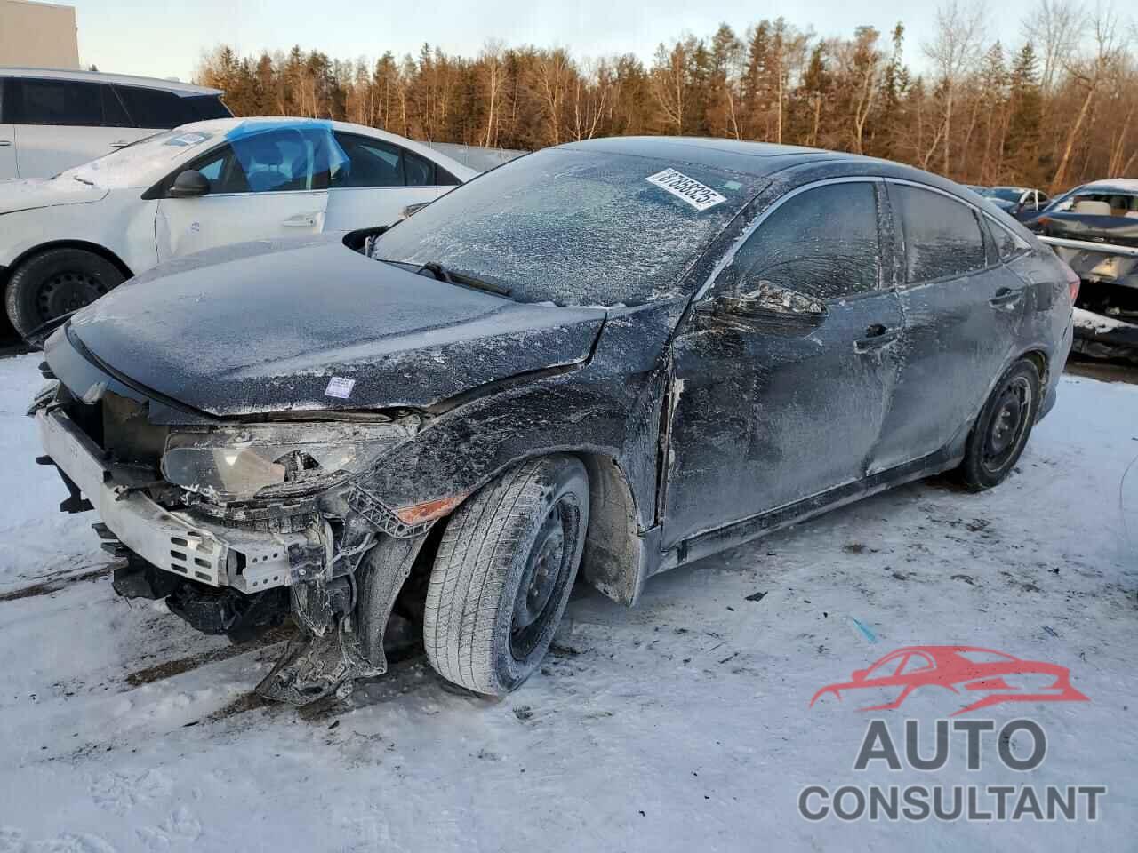 HONDA CIVIC 2020 - 2HGFC2F83LH005818
