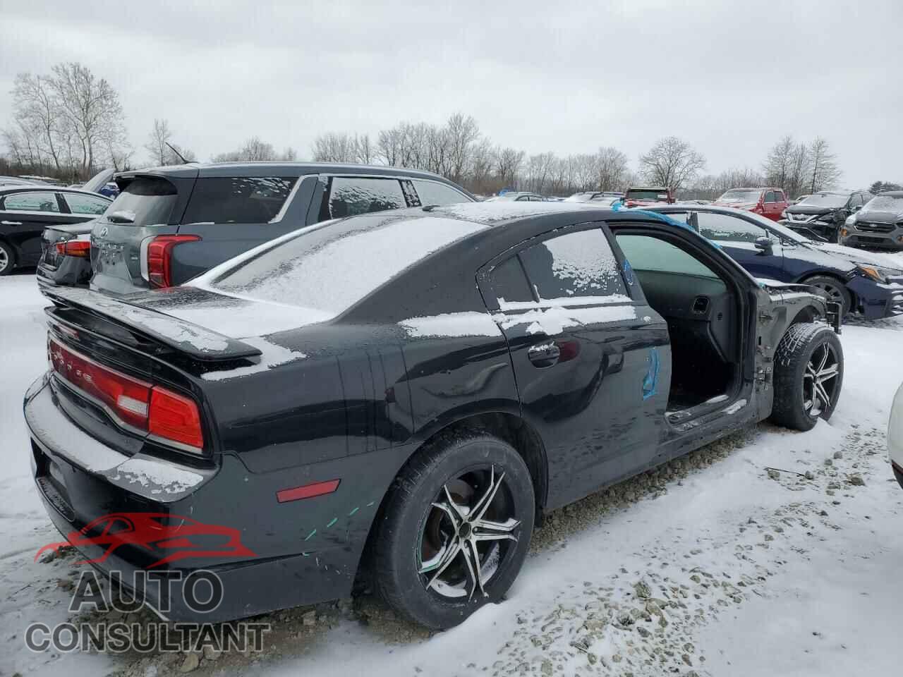 DODGE CHARGER 2014 - 2C3CDXCT6EH359876