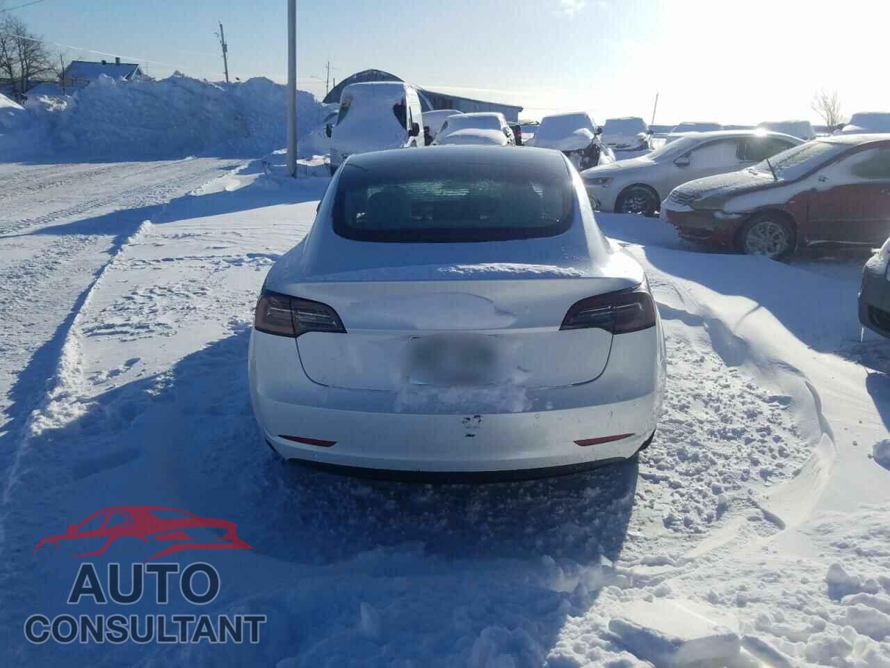 TESLA MODEL 3 2021 - 5YJ3E1EA0MF032427