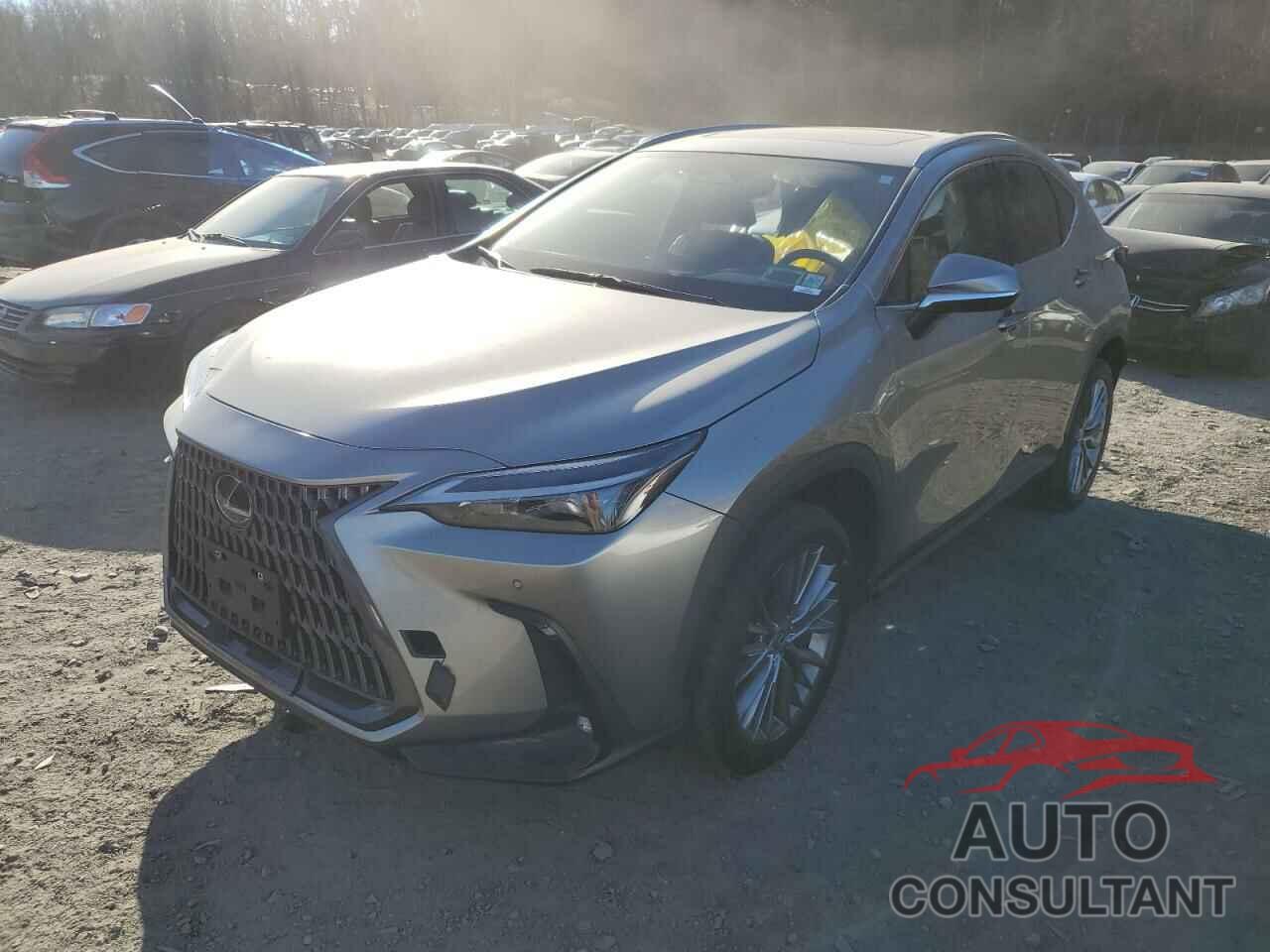 LEXUS NX 350H 2023 - 2T2GKCEZ9PC010474