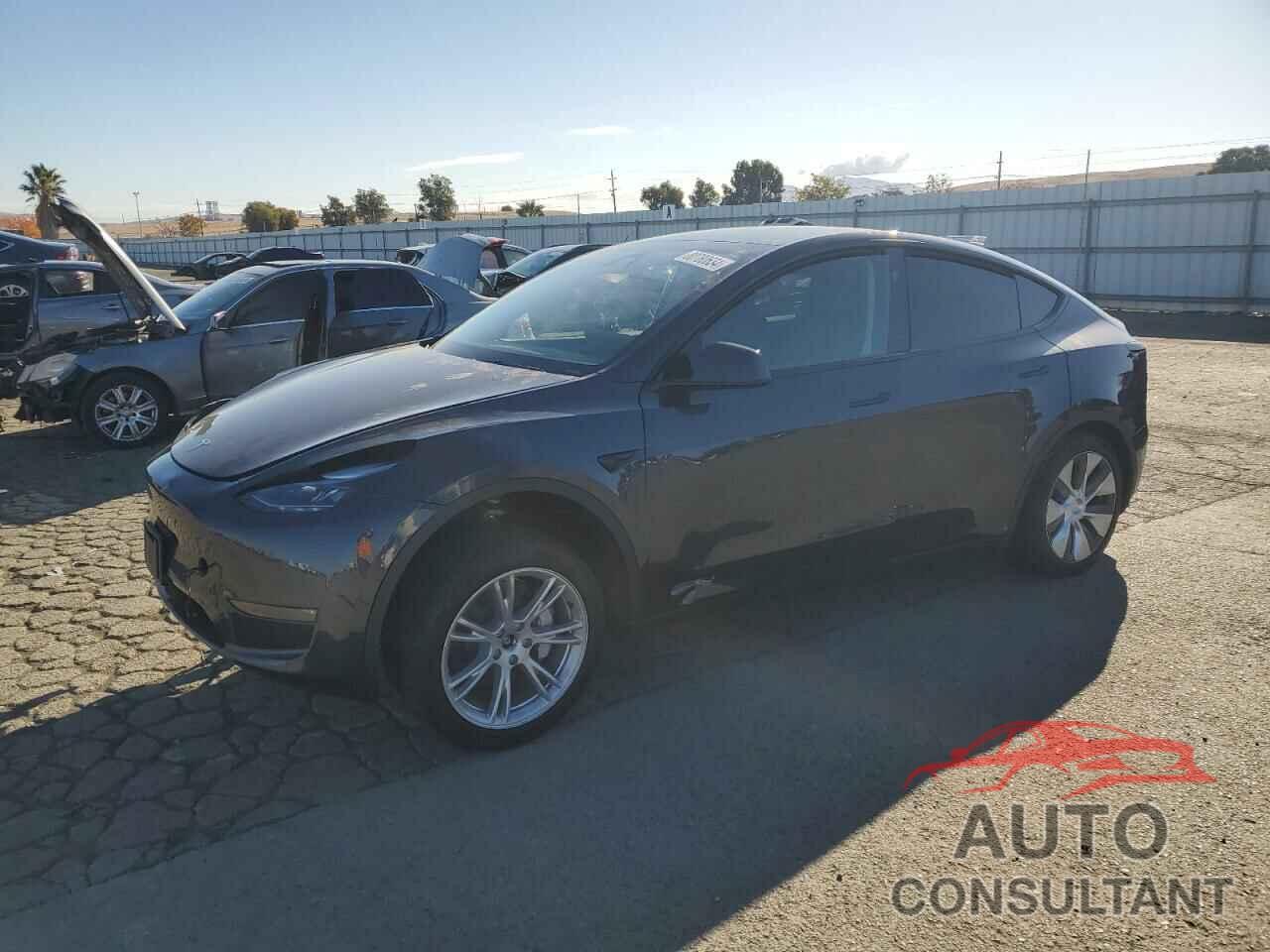 TESLA MODEL Y 2024 - 7SAYGDEE4RA224140