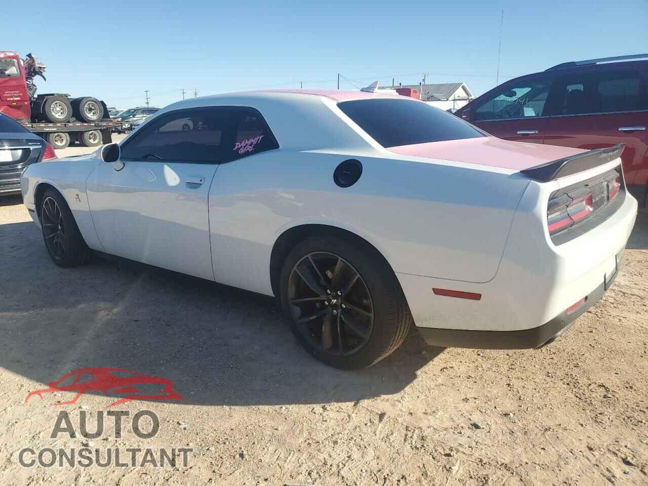 DODGE CHALLENGER 2019 - 2C3CDZFJXKH687934