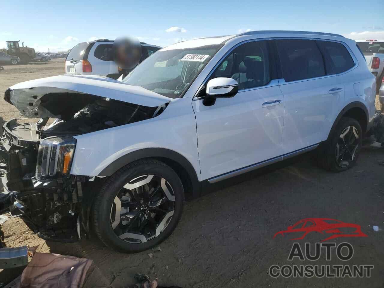 KIA TELLURIDE 2024 - 5XYP6DGC4RG548479