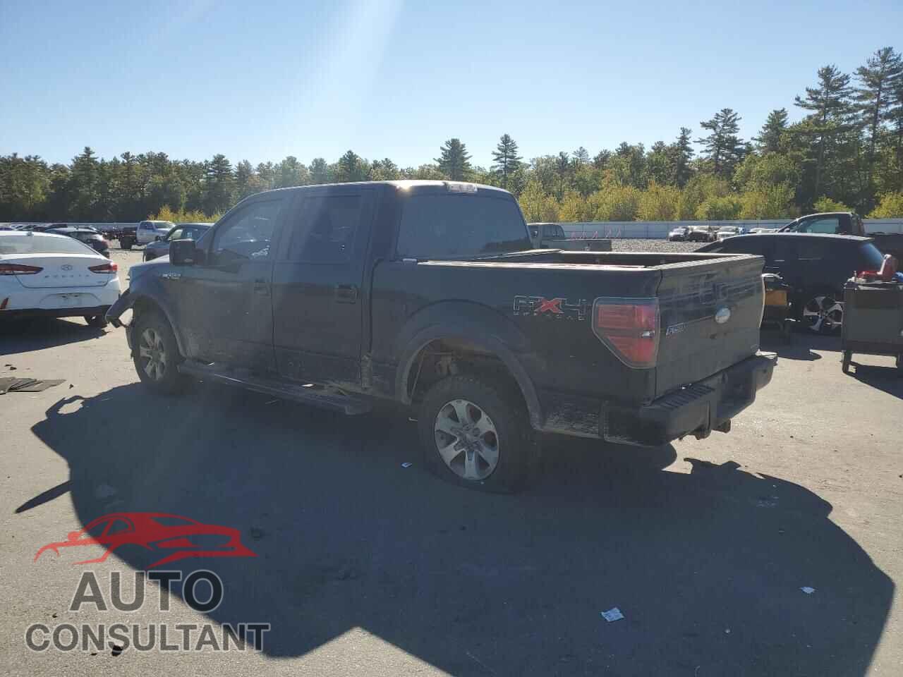 FORD F-150 2011 - 1FTFW1EF2BFB94543