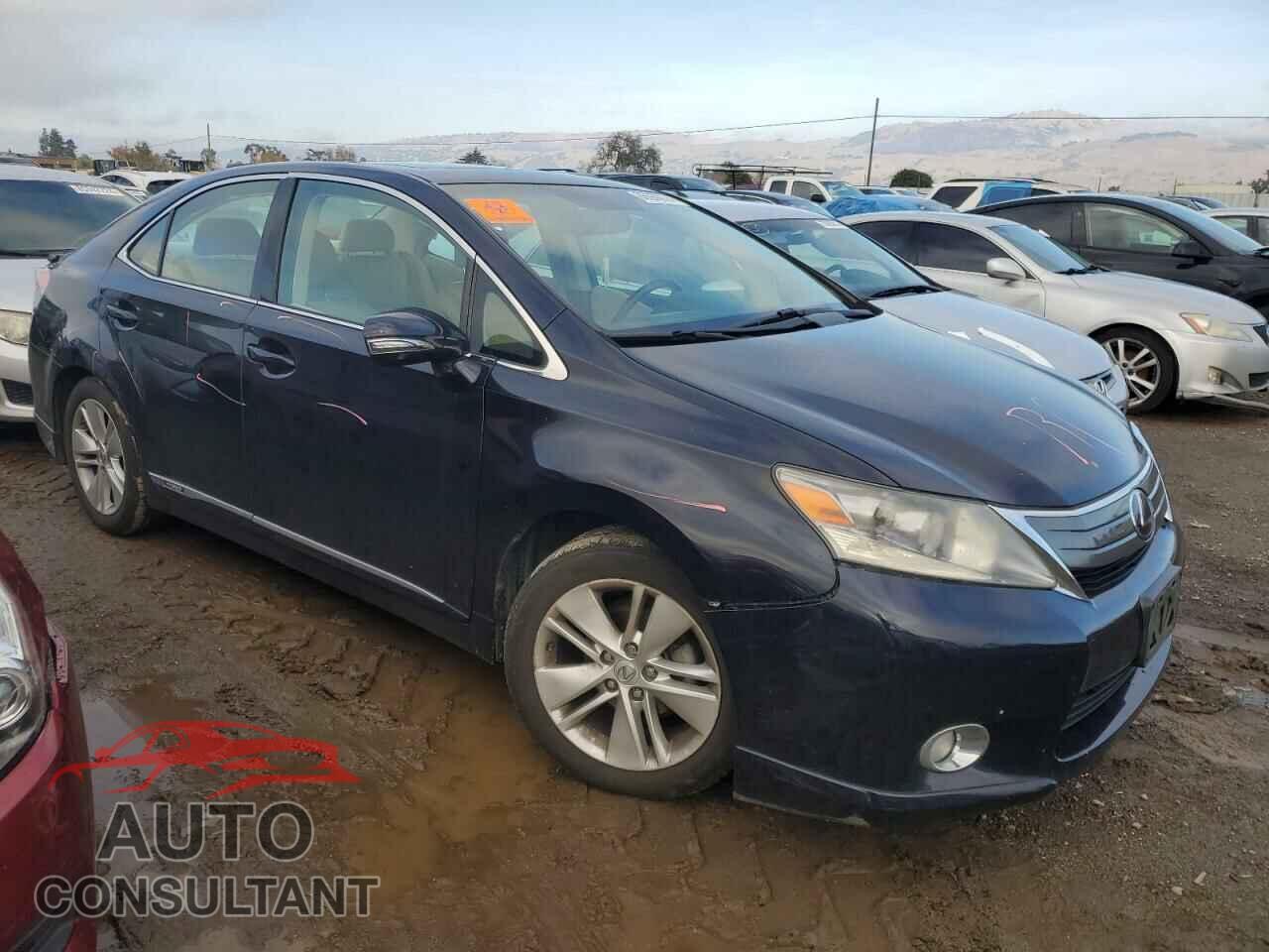 LEXUS HS 2010 - JTHBB1BA6A2018733