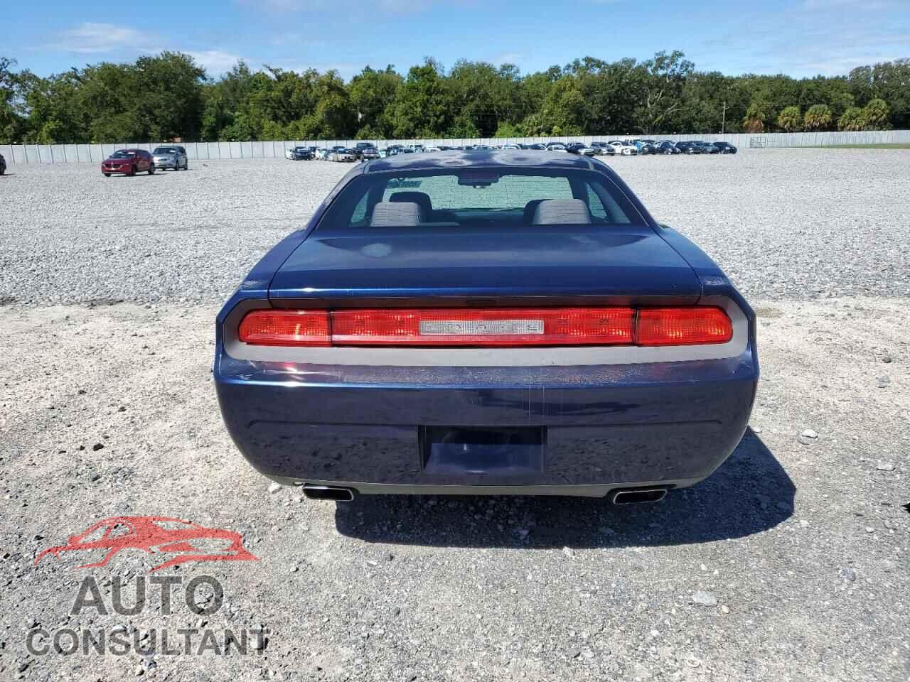 DODGE CHALLENGER 2013 - 2C3CDYAG5DH607724