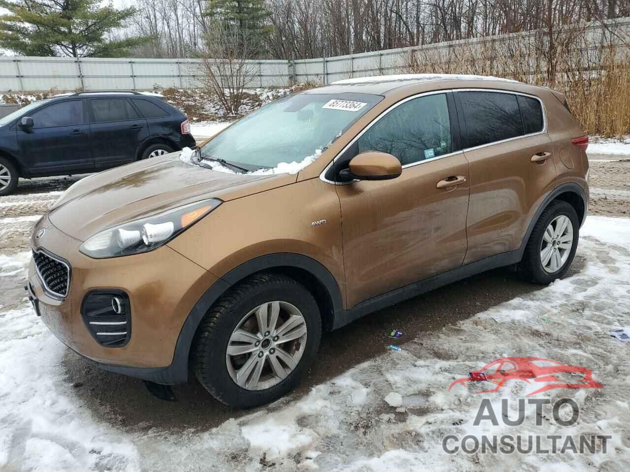 KIA SPORTAGE 2017 - KNDPMCAC3H7126451