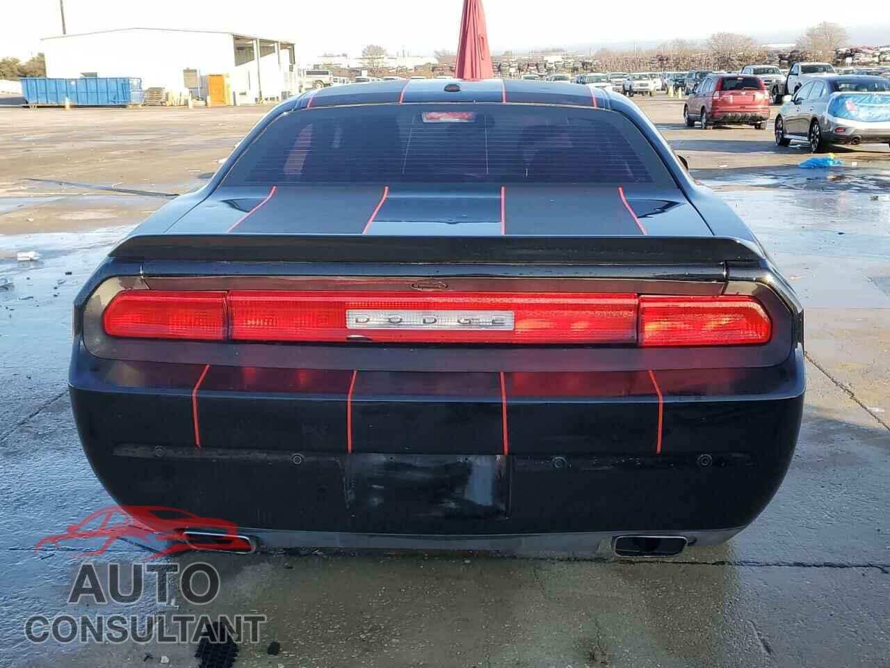 DODGE CHALLENGER 2013 - 2C3CDYBTXDH616253