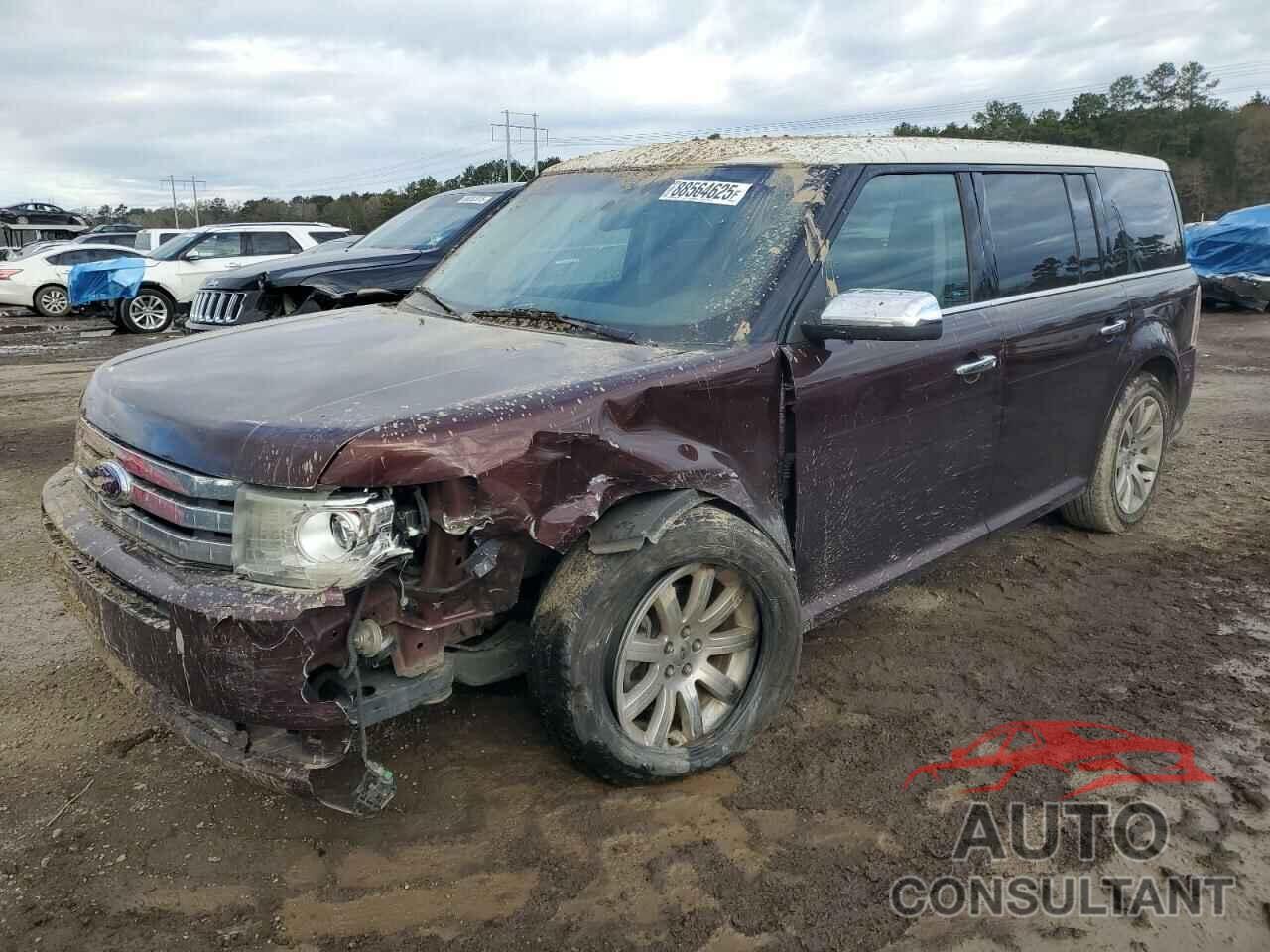 FORD FLEX 2009 - 2FMDK53C89BA46133