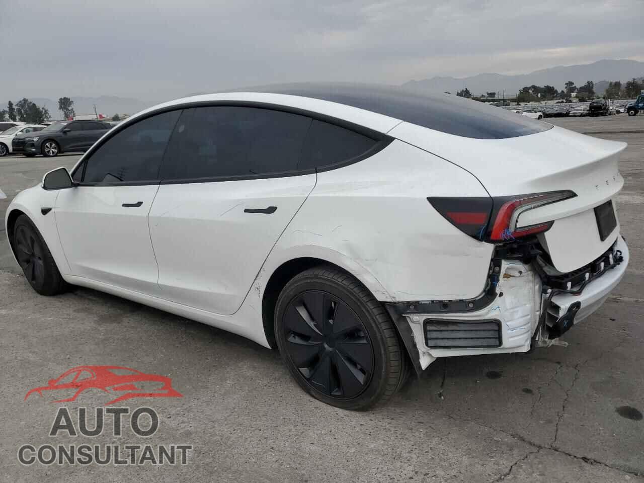 TESLA MODEL 3 2024 - 5YJ3E1EB9RF772610