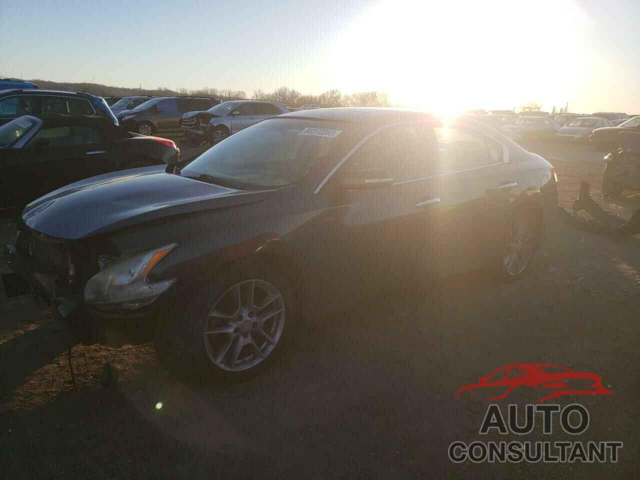 NISSAN MAXIMA 2010 - 1N4AA5AP3AC864850