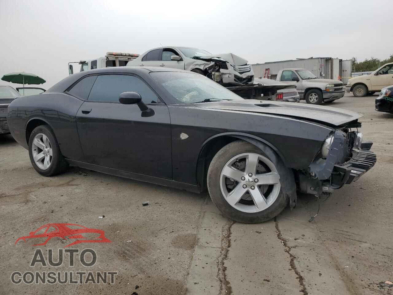 DODGE CHALLENGER 2013 - 2C3CDYBTXDH724341