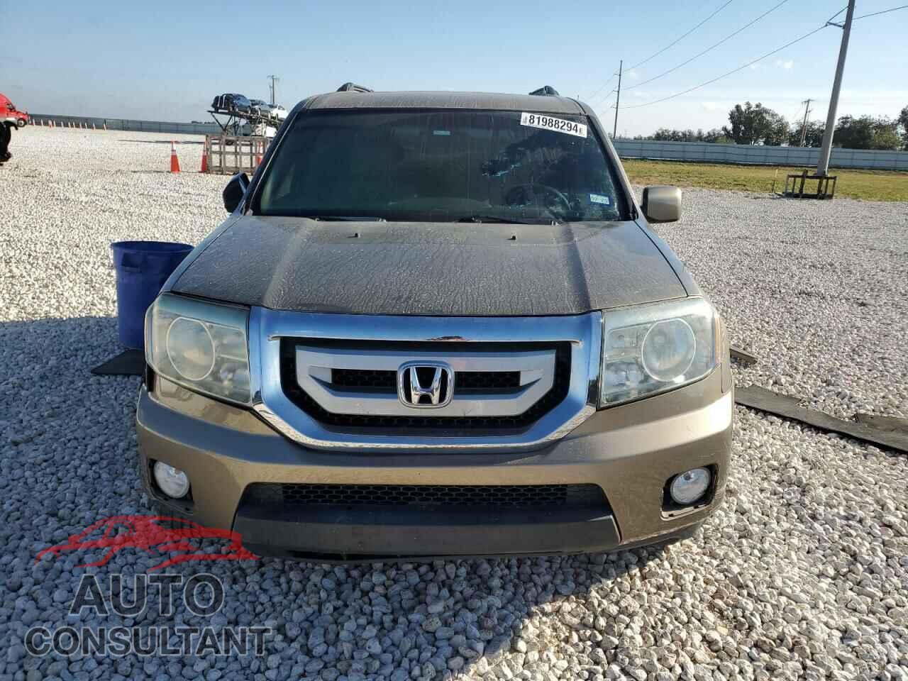 HONDA PILOT 2010 - 5FNYF4H44AB016401