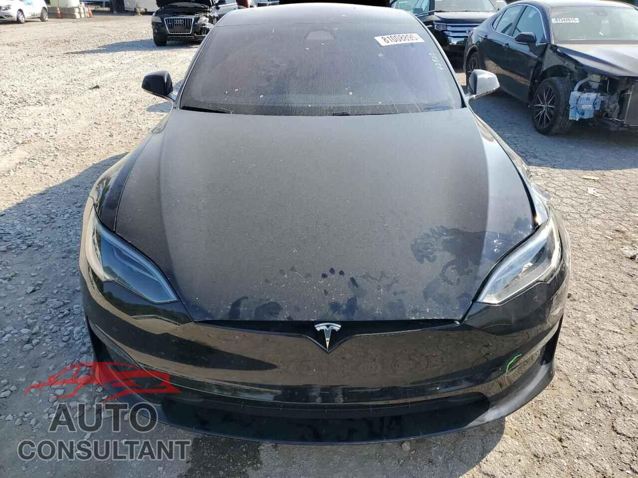 TESLA MODEL S 2023 - 5YJSA1E66PF516979