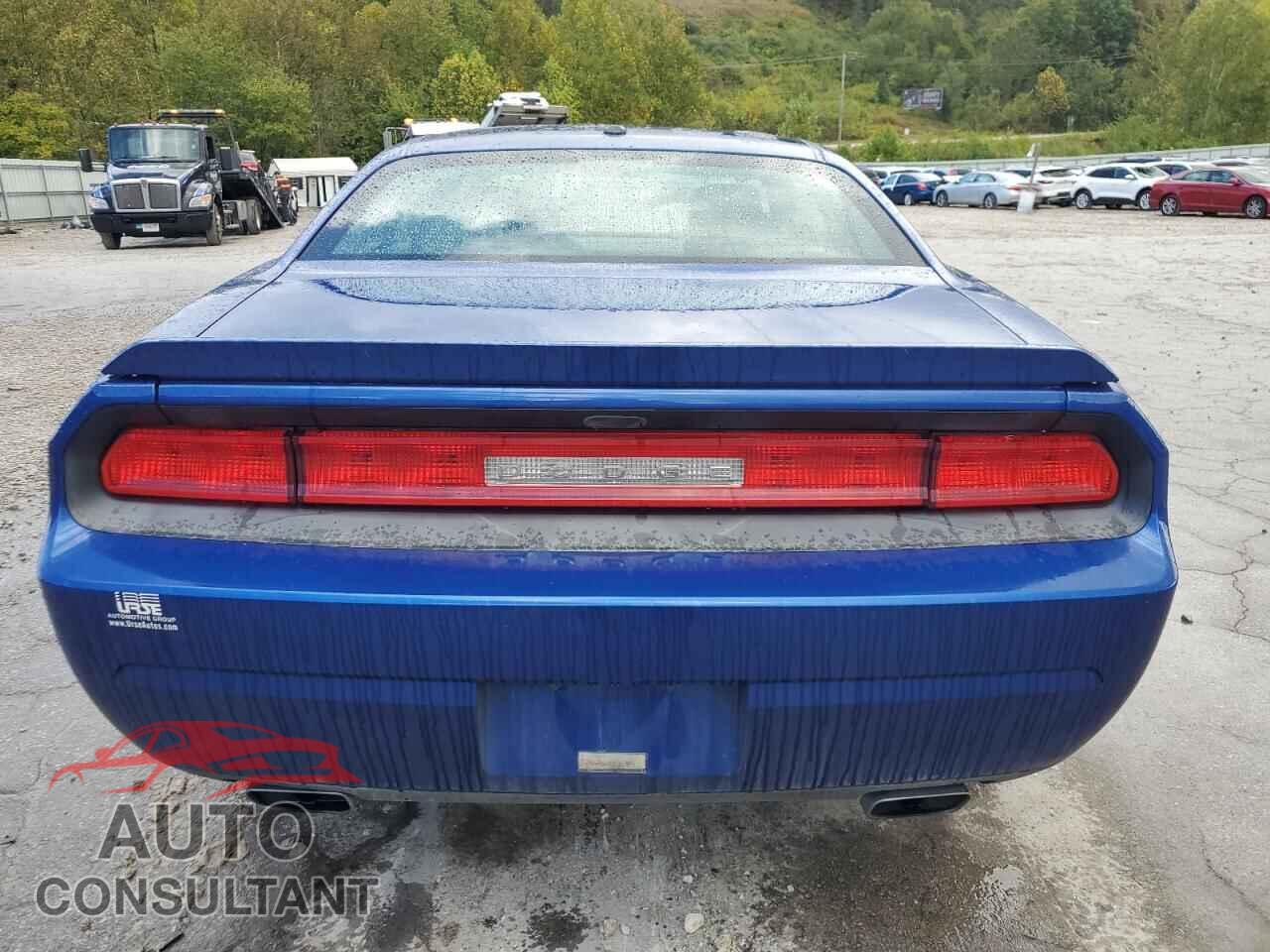 DODGE CHALLENGER 2012 - 2C3CDYBT5CH281059