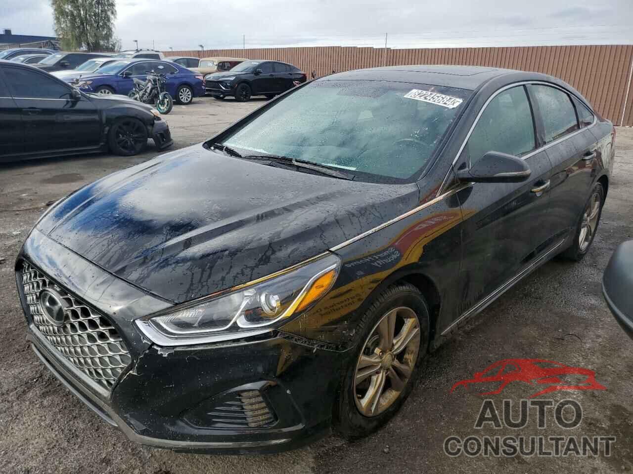 HYUNDAI SONATA 2019 - 5NPE34AF3KH738081