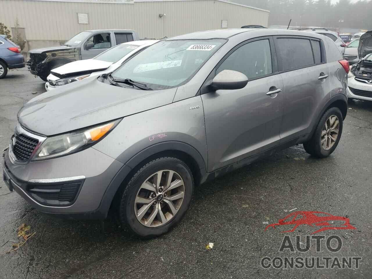 KIA SPORTAGE 2016 - KNDPBCAC8G7853508