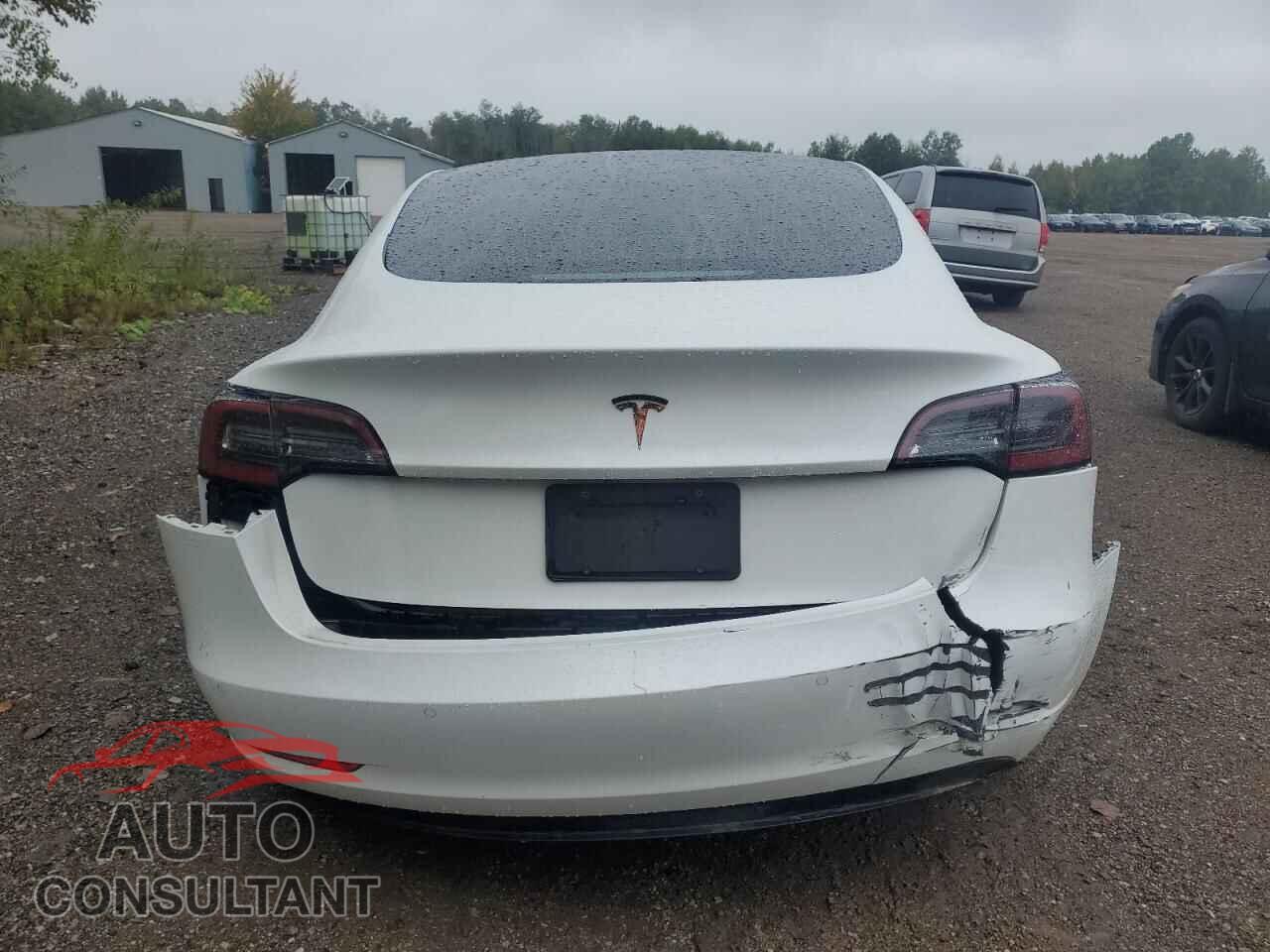 TESLA MODEL 3 2019 - 5YJ3E1EA2KF480455