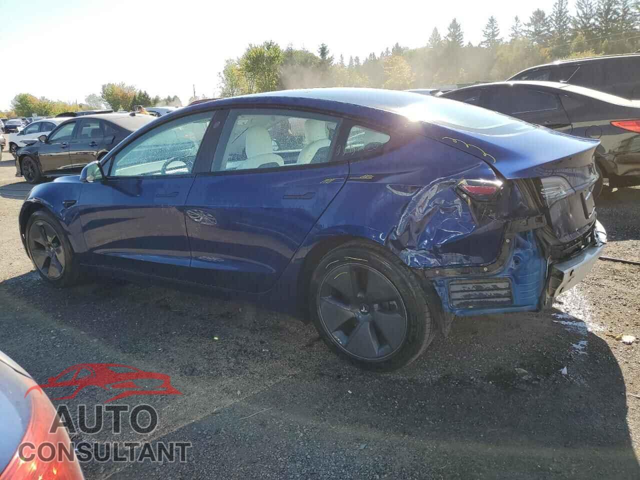 TESLA MODEL 3 2021 - 5YJ3E1EA2MF856896