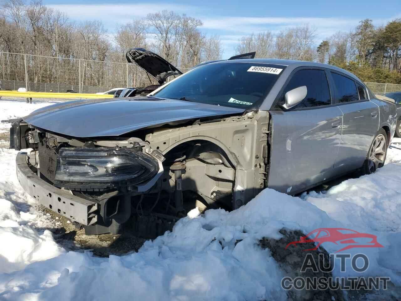 DODGE CHARGER 2015 - 2C3CDXCT3FH844445