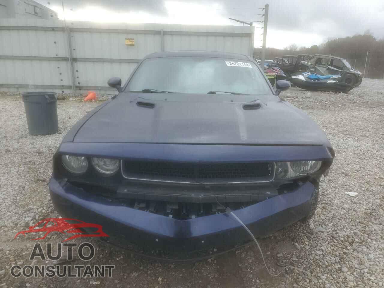 DODGE CHALLENGER 2013 - 2C3CDYAG3DH672975