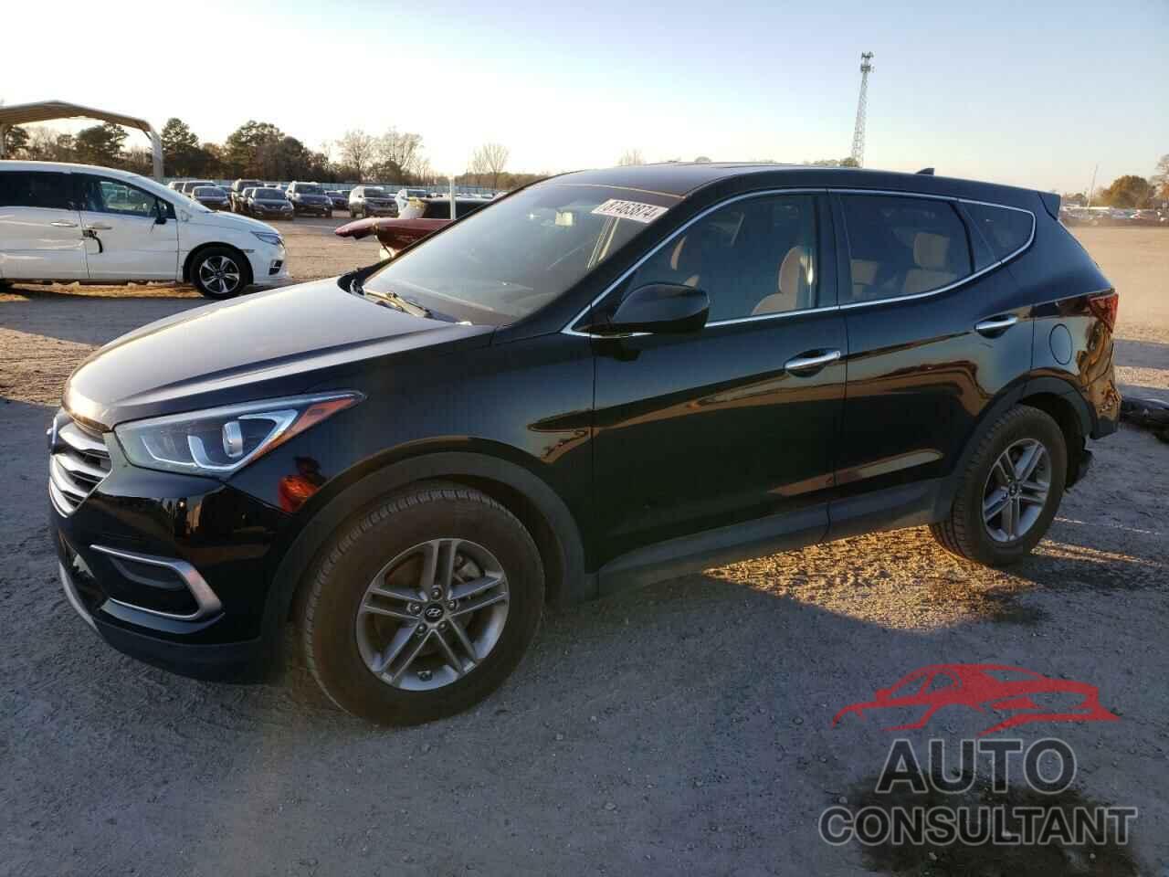 HYUNDAI SANTA FE 2017 - 5NMZT3LBXHH032222