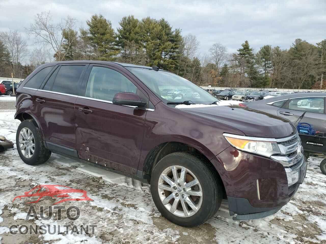 FORD EDGE 2011 - 2FMDK4KC9BBB12481