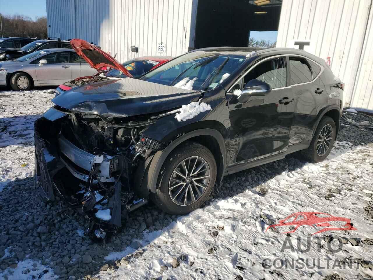 LEXUS NX 350 2022 - 2T2GGCEZ4NC014527